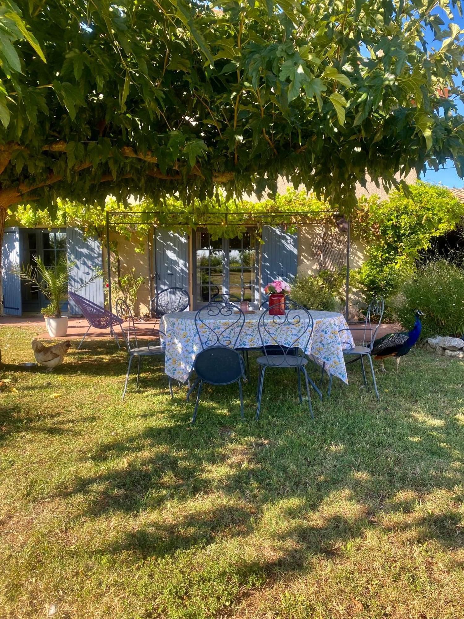 Le Domaine D'Adrien Apartment Larnage Екстериор снимка