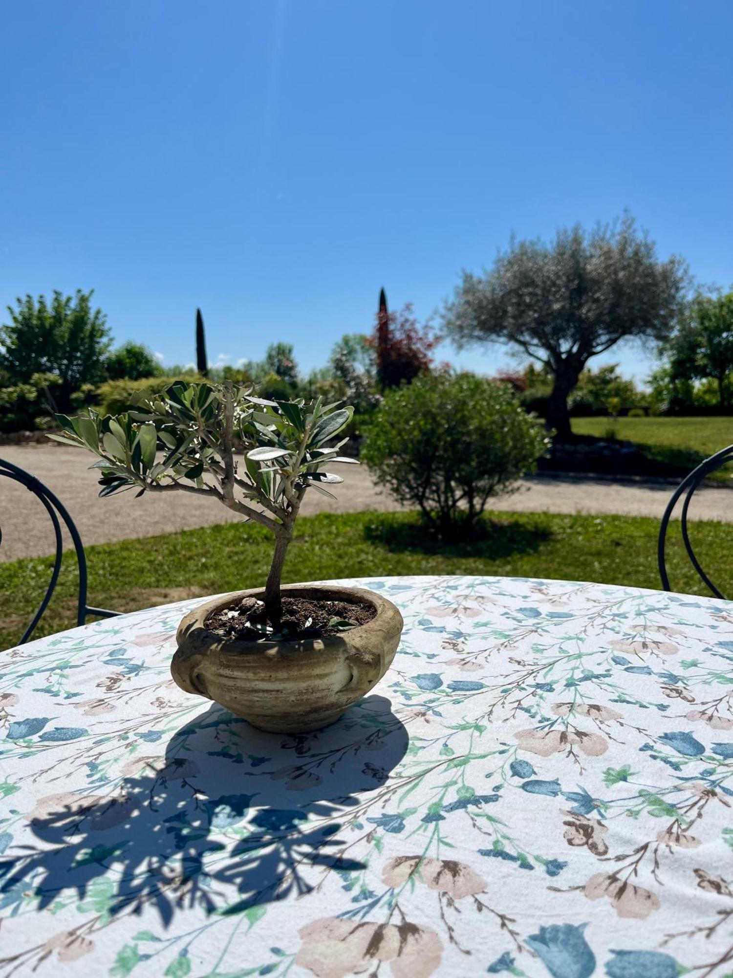 Le Domaine D'Adrien Apartment Larnage Екстериор снимка
